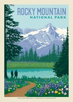 Rocky Mountain National Park Wildflowers Postcard