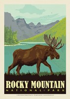 Rocky Mountain National Park Moose Postcard (Single)