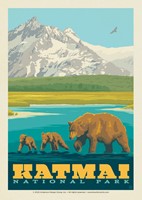 Katmai NP Mama Bear & Cubs Postcard (Single)