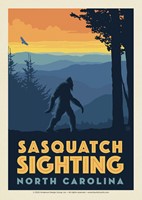 Sasquatch Sighting At Blue Ridge Parkway NC Postcard (Single)