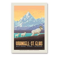 Wrangell-St. Elias NP Dall Sheep Vertical Sticker