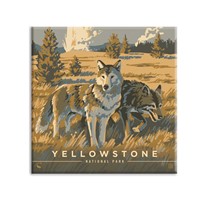 Yellowstone NP Wandering Wolves Square Magnet