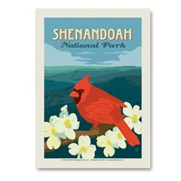 Shenandoah NP Cardinal On Dogwood Vertical Sticker