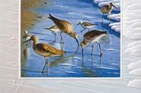 SAND PIPERS (BK) FOLDED - W/ENV