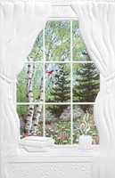 BACKYARD WINDOW (GW) FOLDED - W/ENV