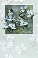 Springtime Chickadee (AW)  Folded - W/Env