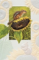 SUNFLOWER CHIPMUNK (FR) FOLDED - W/ENV