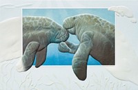 MANATEE FRIENDS (EN) FOLDED - W/ENV