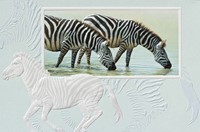 GREAT PLAINS ZEBRA (LF) FOLDED - W/ENV