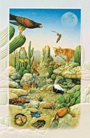 Desert Animals (HM)  Folded - W/Env