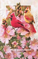 Cardinals In Mallow (FR) Folded - W/Env