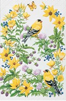 Goldfinch In Thistle (FRIN) Folded - W/Env