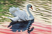 Swan Serenade (ENIN) Folded - W/Env
