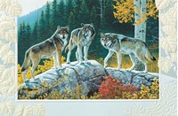 Trio Of Wolves Folded - W/Env