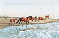 Chincoteague Ponies Folded - W/Env