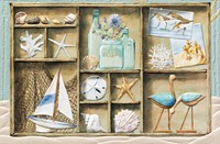 COASTAL SHADOWBOX FOLDED - W/ENV