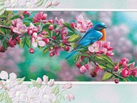GARDEN SAPPHIRE (COIN) PETITE FOLDED - W/ENV