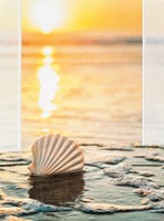 Sunset Shell (SYIN) Petite Folded - W/Env