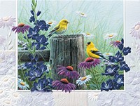 Goldfinch Garden (GWIN) Petite Folded - W/Env