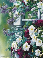 NOSTALGIC GARDEN (COIN) PETITE FOLDED - W/ENV
