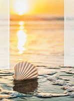 SUNSET SHELL (SY) PETITE FOLDED - W/ENV