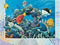 Save Our Reefs (BDIN) Petite Folded - W/Env