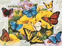 Butterfly Menagerie (BDIN) Petite Folded - W/Env