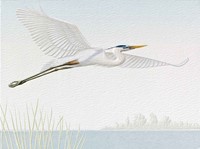 BLUE HERON (BK) PETITE FOLDED - W/ENV