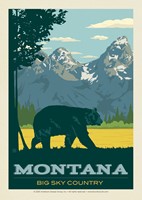 MT Bear Postcard