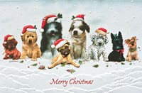 Christmas Canines