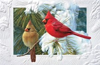 Candid Cardinals