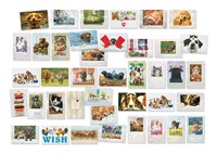 Deluxe Domestic Animals 40 Card Assortment