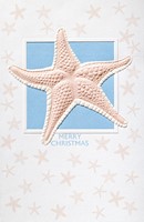 Splendid Starfish