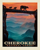 Cherokee National Forest Crossing 8" x 10" Print