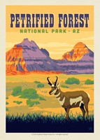 Petrified Forest NP Antelope Postcard