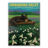 Shenandoah Valley Luray Sleeping Bear Magnet