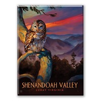 Shenandoah Valley Luray Owl Magnet