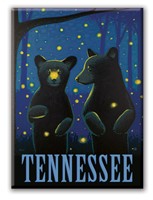 TN Night Sky Cubs Magnet