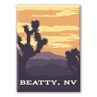 Beatty NV Desert Magnet