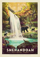 Shenandoah NP Waterfall Postcard
