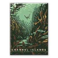 Channel Islands NP Sea Lions Magnet