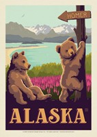 Homer AK Bears Postcard