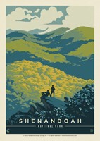 Shenandoah NP Blue Ridge Beauty Postcard