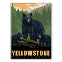 Yellowstone NP Black Bear Family Magnet