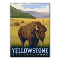 Yellowstone NP Bison Field Magnet