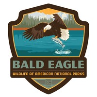 Wildlife Bald Eagle Emblem Sticker