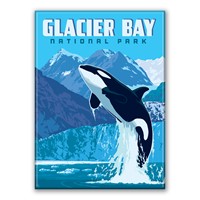 Glacier Bay NP Leaping Orca Magnet