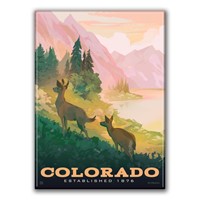 Colorado Deer Magnet