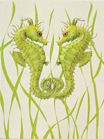 Seahorse Duo