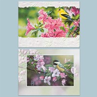 Perched Songbirds Blank Note Cards - 18 Count